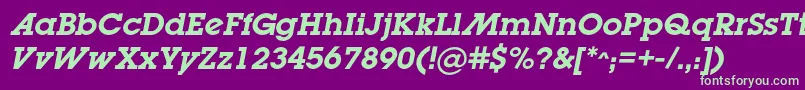 LugabookadcBolditalic Font – Green Fonts on Purple Background