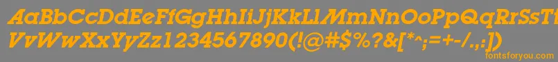 LugabookadcBolditalic Font – Orange Fonts on Gray Background