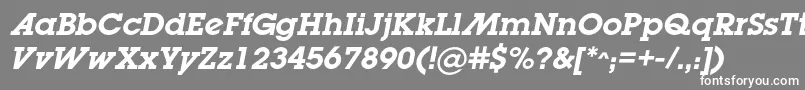 フォントLugabookadcBolditalic – 灰色の背景に白い文字