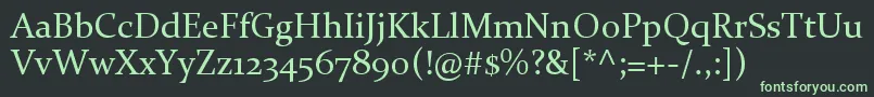 フォントConstantia – 黒い背景に緑の文字