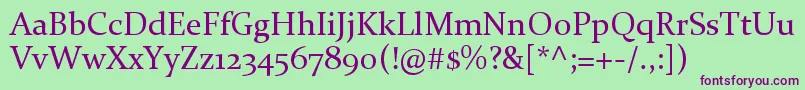 Constantia Font – Purple Fonts on Green Background
