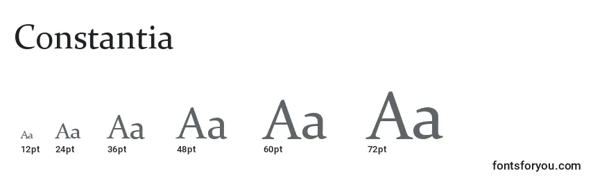 Constantia Font Sizes
