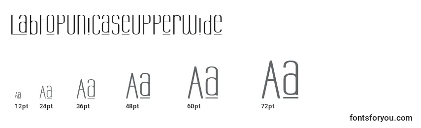 LabtopUnicaseUpperWide Font Sizes