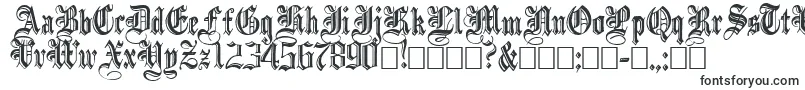 Шрифт IncisedBlack – шрифты с завитушками