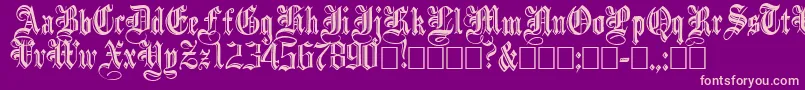 IncisedBlack Font – Pink Fonts on Purple Background