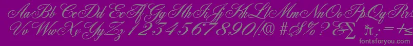YorkshireDb Font – Gray Fonts on Purple Background