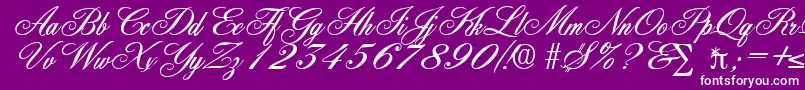 YorkshireDb Font – White Fonts on Purple Background