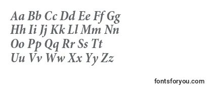 MinionproBoldcnit Font