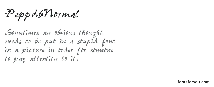 Review of the PeppdbNormal Font