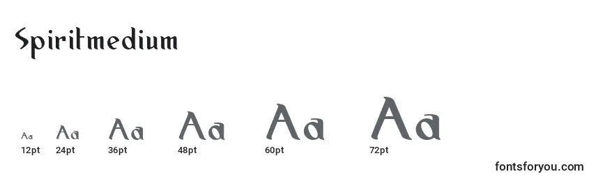 Spiritmedium Font Sizes
