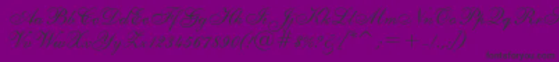 ShelleyRegular-Schriftart – Schwarze Schriften auf violettem Hintergrund