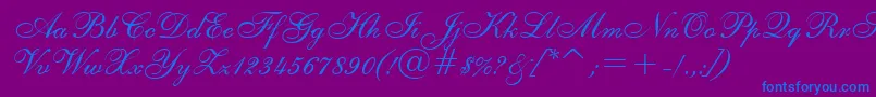 ShelleyRegular-Schriftart – Blaue Schriften auf violettem Hintergrund