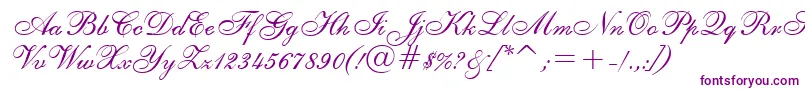 ShelleyRegular Font – Purple Fonts on White Background