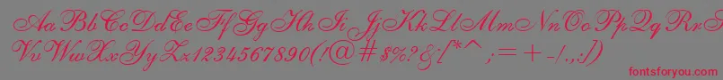 ShelleyRegular Font – Red Fonts on Gray Background