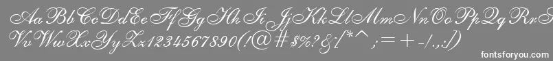 Шрифт ShelleyRegular – белые шрифты на сером фоне