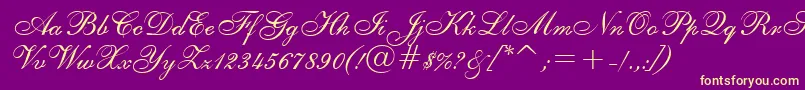 ShelleyRegular Font – Yellow Fonts on Purple Background
