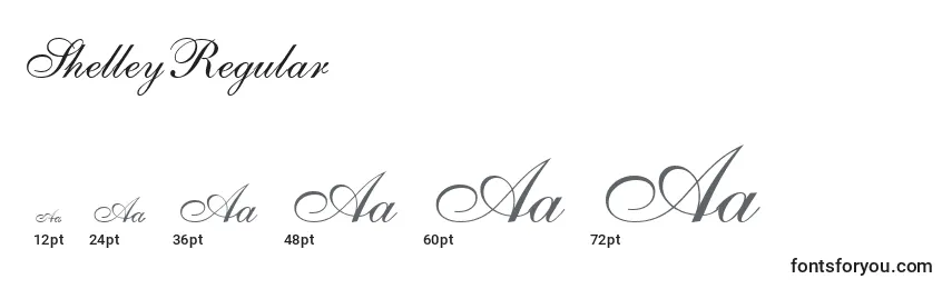ShelleyRegular Font Sizes