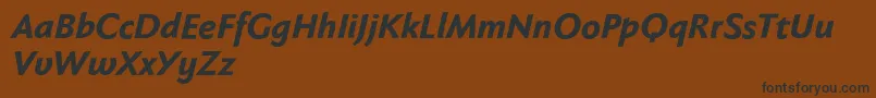 Fabersanspro86reduced Font – Black Fonts on Brown Background