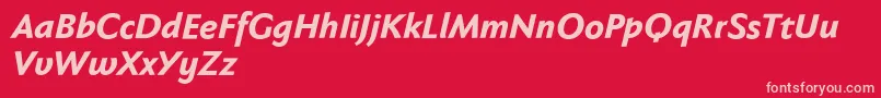 Fabersanspro86reduced Font – Pink Fonts on Red Background