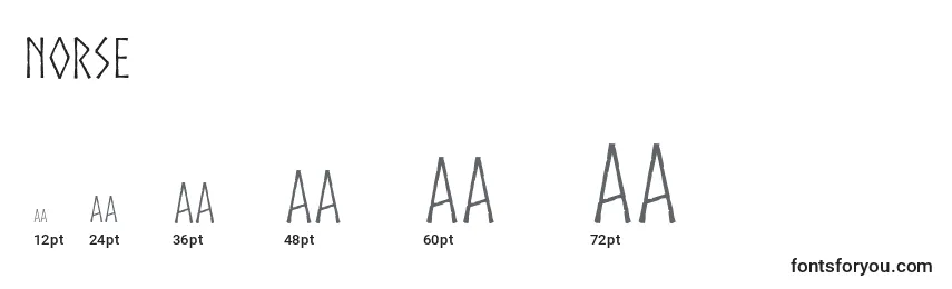 Norse Font Sizes