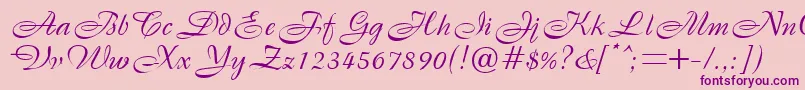 BristolRegularDb Font – Purple Fonts on Pink Background