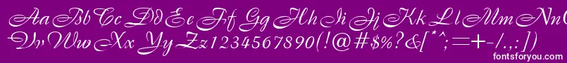 BristolRegularDb Font – White Fonts on Purple Background