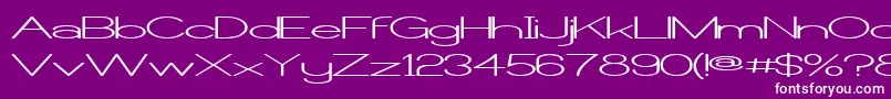 Castorw Font – White Fonts on Purple Background