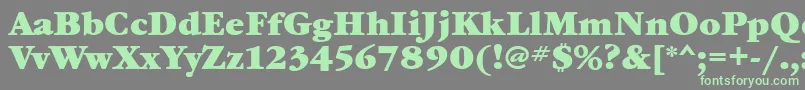 GaramondbookbttBold Font – Green Fonts on Gray Background