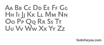 Обзор шрифта Sebastianmediumsc