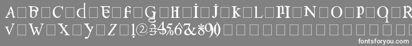 フォントConfuse – 灰色の背景に白い文字