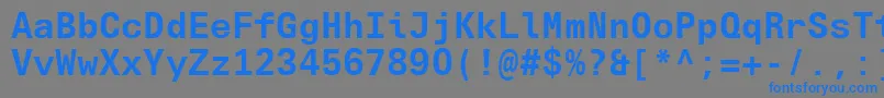 UniversNextTypewriterProBoldフォントについての詳細 フォントUniversNextTypewriterProBold – 灰色の背景に青い文字