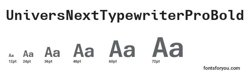 UniversNextTypewriterProBold Font Sizes