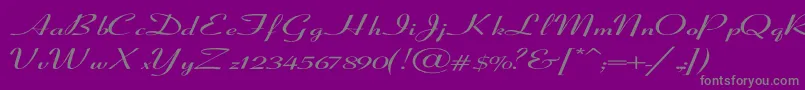 CoronetSemiboldItalicEx-Schriftart – Graue Schriften auf violettem Hintergrund