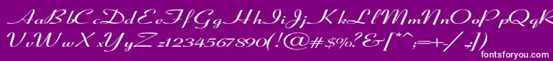 CoronetSemiboldItalicEx Font – White Fonts on Purple Background