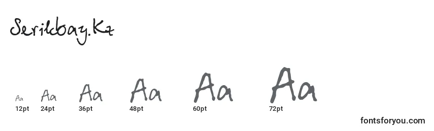 Размеры шрифта Serikbay.Kz