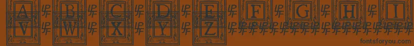 QuanauticaleInitialsNo1 Font – Black Fonts on Brown Background