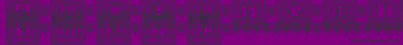 QuanauticaleInitialsNo1 Font – Black Fonts on Purple Background