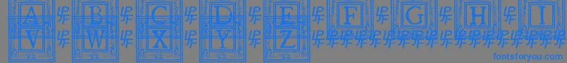 QuanauticaleInitialsNo1-fontti – siniset fontit harmaalla taustalla
