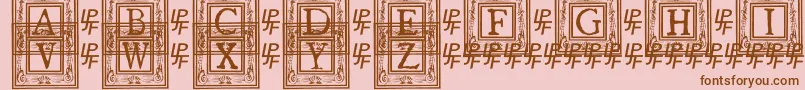 En savoir plus sur la police QuanauticaleInitialsNo1 Police QuanauticaleInitialsNo1 – polices brunes sur fond rose