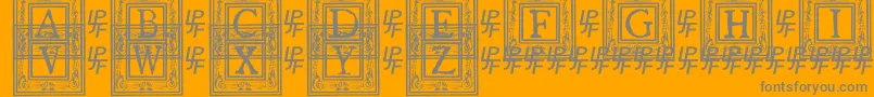 フォントQuanauticaleInitialsNo1 – オレンジの背景に灰色の文字