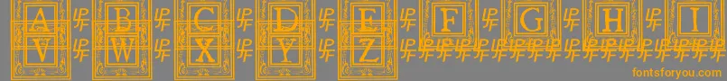 フォントQuanauticaleInitialsNo1 – オレンジの文字は灰色の背景にあります。