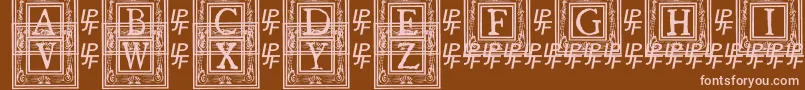 QuanauticaleInitialsNo1 Font – Pink Fonts on Brown Background