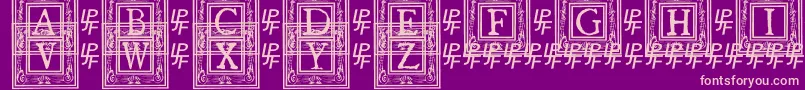 Police QuanauticaleInitialsNo1 – polices roses sur fond violet