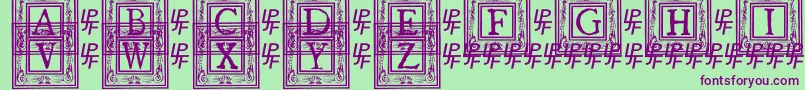 QuanauticaleInitialsNo1 Font – Purple Fonts on Green Background