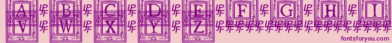 More about QuanauticaleInitialsNo1 Font QuanauticaleInitialsNo1 Font – Purple Fonts on Pink Background