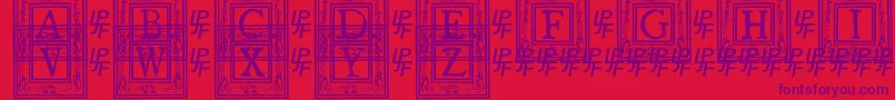 QuanauticaleInitialsNo1 Font – Purple Fonts on Red Background