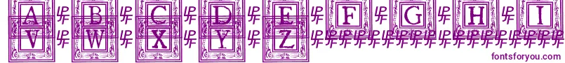 QuanauticaleInitialsNo1 Font – Purple Fonts