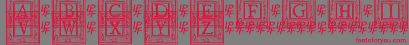 QuanauticaleInitialsNo1 Font – Red Fonts on Gray Background