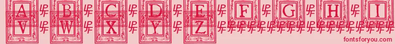 QuanauticaleInitialsNo1 Font – Red Fonts on Pink Background