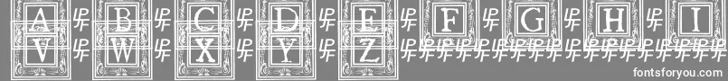 QuanauticaleInitialsNo1 Font – White Fonts on Gray Background